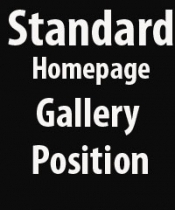 £20 Standard Home Page Gallery Spot