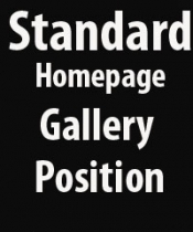 £30 Standard Home Page Gallery Spot